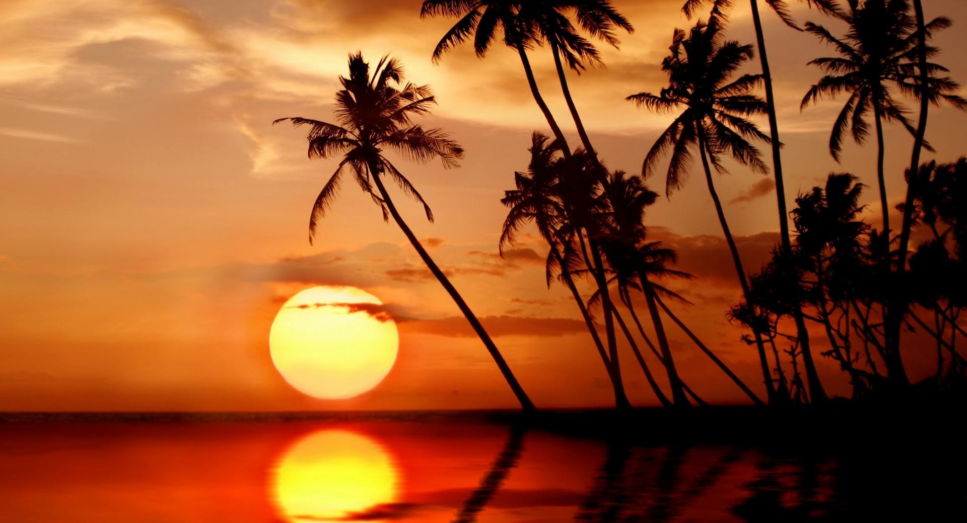 Sunset In Tropical Paradise at 1024 x 1024 iPad size wallpapers HD quality