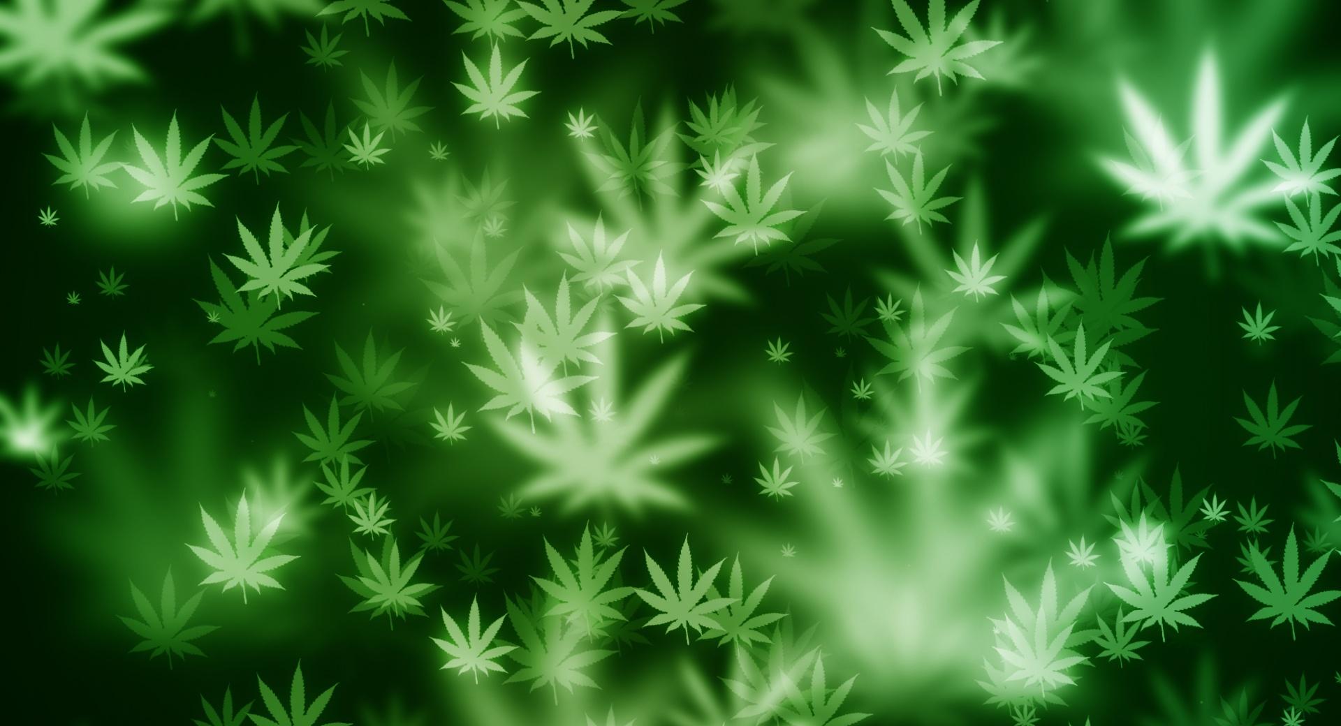 Weed Bokeh at 1152 x 864 size wallpapers HD quality