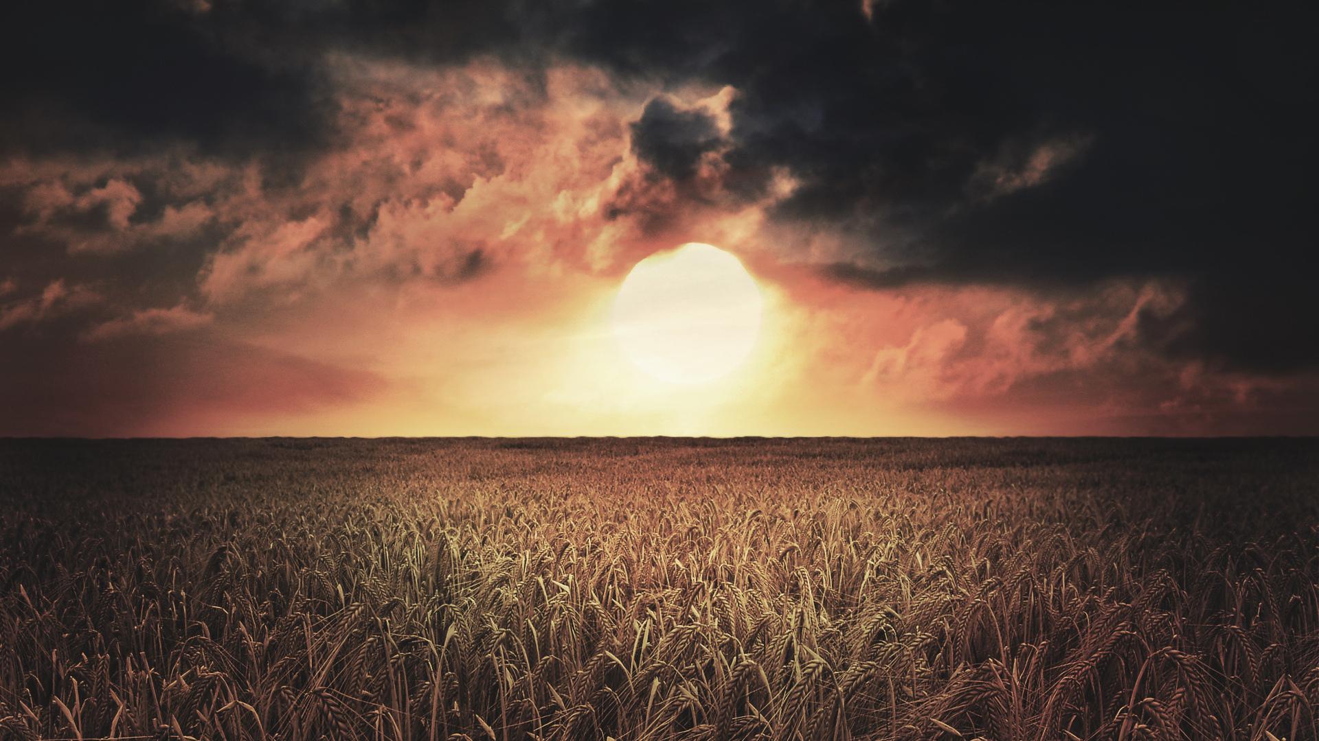 природа пейзаж горизонт солнце небо облака поле скачать