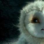 Legend Of The Guardians The Owls Of Ga Hoole hd