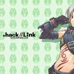 .Hack Link pics