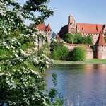 Malbork Castle background