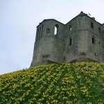 Warkworth Castle widescreen