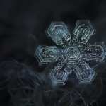 Snowflake hd wallpaper
