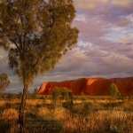 Uluru images