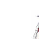Infinite Stratos high definition wallpapers