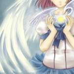 Angel Anime hd desktop