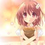 Flyable Heart free