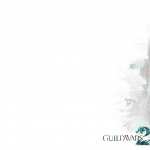 Guild Wars 2 new wallpaper