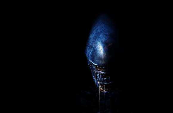 Alien Covenant 2017 wallpapers hd quality