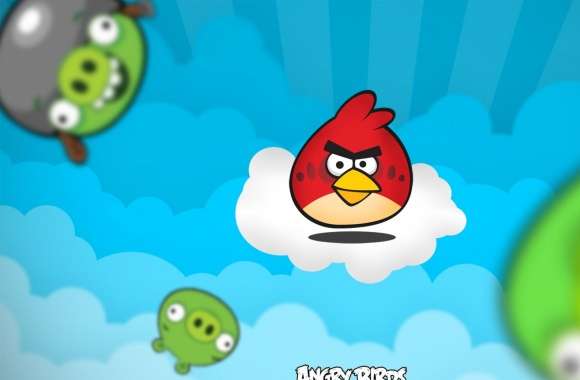 Angry Birds 2013