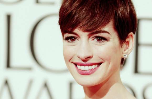 Anne Hathaway 2013 wallpapers hd quality