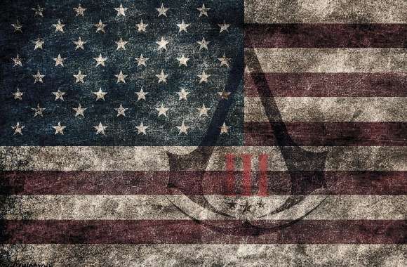 Assassins Creed III - American Eroded Flag
