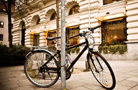 Bicycle, City