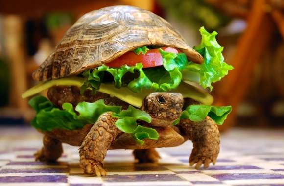 Cheese Turtle Burger By K23