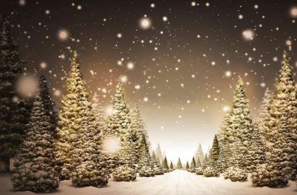 Christmas Forest wallpapers hd quality