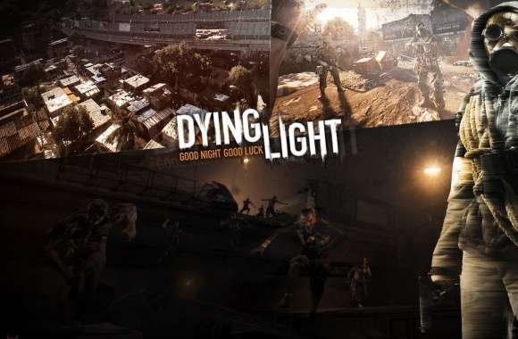 Dying Light Video Game wallpapers hd quality