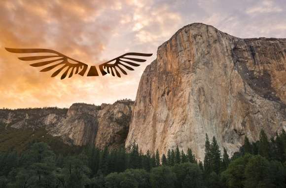 Eagle Yosemite