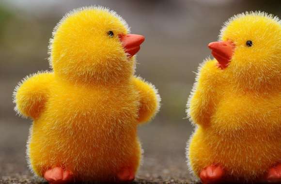 Easter Baby Chicks