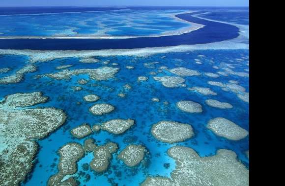 Great Barrier Reef wallpapers hd quality