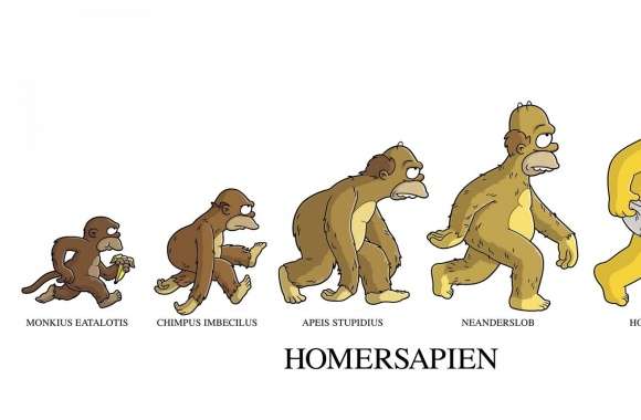 Homersapien wallpapers hd quality