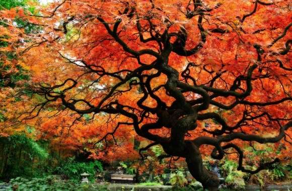 Japanese Garden wallpapers hd quality