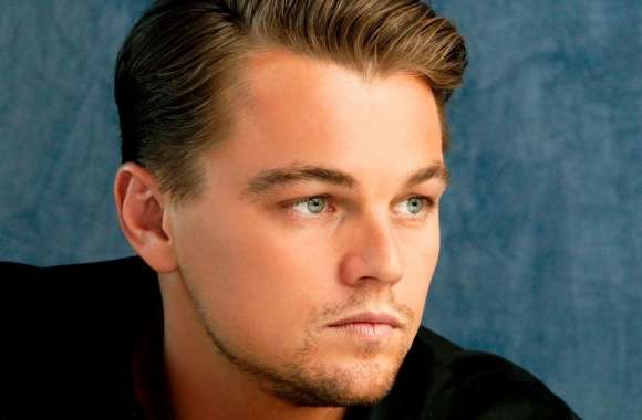 Leonardo DiCaprio Portrait