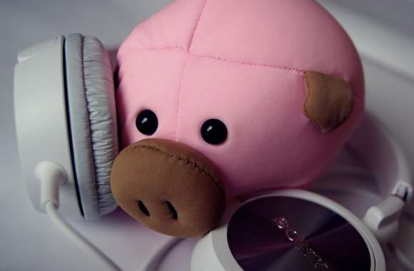 Pig and Headphones