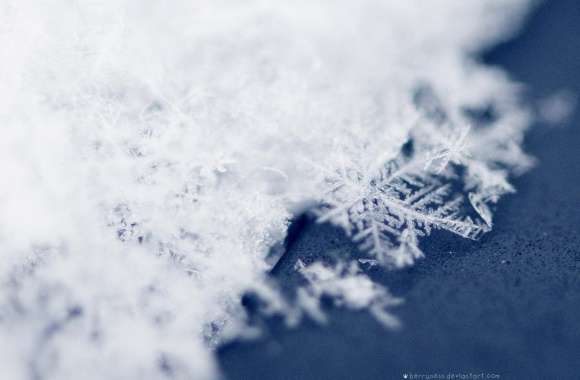 Snowflake wallpapers hd quality