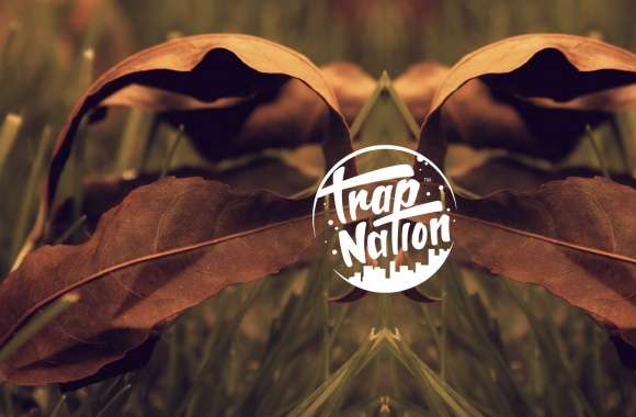 TrapNation wallpapers hd quality