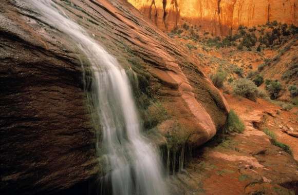 Tsegi Canyon Navajo National Monument Arizona