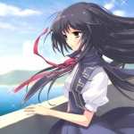 Flyable Heart PC wallpapers