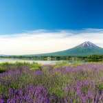 Mount Fuji hd pics