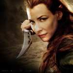 The Hobbit The Desolation Of Smaug high definition photo