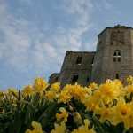 Warkworth Castle wallpapers for iphone