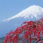 Mount Fuji image