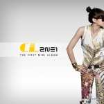 2NE1 high definition wallpapers