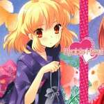 Flyable Heart image