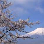 Mount Fuji pics