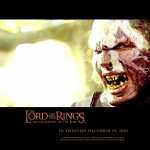 The Lord Of The Rings The Fellowship Of The Ring hd wallpaper