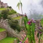 Machu Picchu new photos