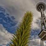 Space Needle pics