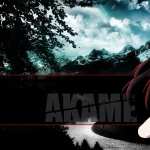 Akame Ga Kill! image