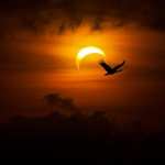 Solar Eclipse high definition photo