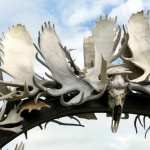 Antler Arch high definition wallpapers