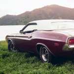Dodge Challenger wallpapers for android