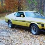 Ford Mustang Mach 1 new photos