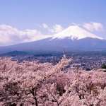 Mount Fuji 2017