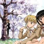 School Rumble wallpapers for android