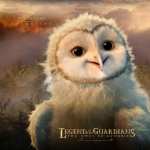 Legend Of The Guardians The Owls Of Ga Hoole photo